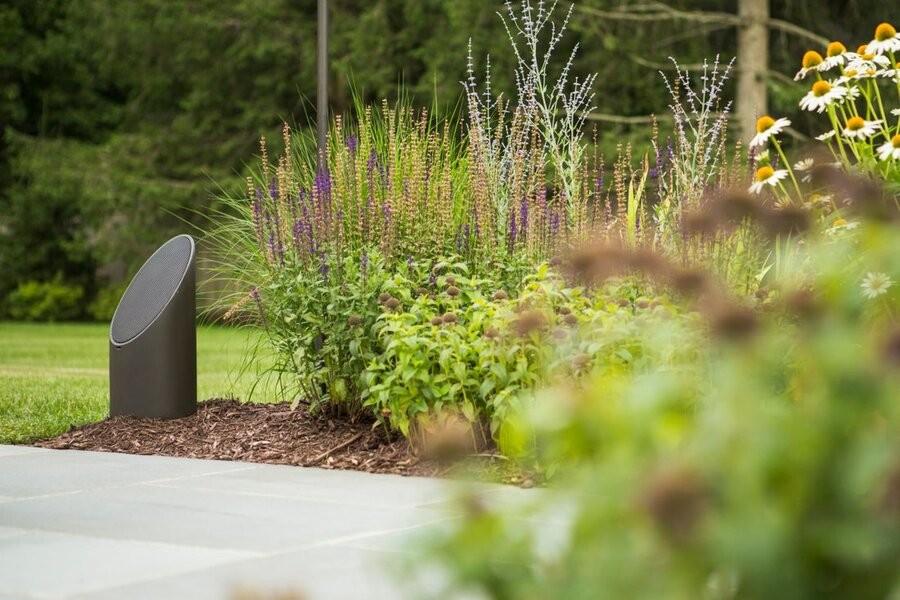 A Coastal Source outdoor audio speaker in focus in the background, with foliage surrounding it and in the foreground out of focus.