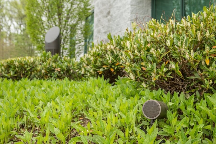 Two different types of Coastal Source outdoor speakers among foliage.